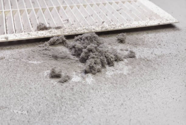Best Commercial Air Duct Cleaning  in Channel Lake, IL