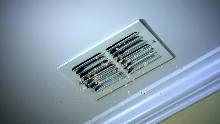 Ventilation Cleaning Services in Channel Lake, IL