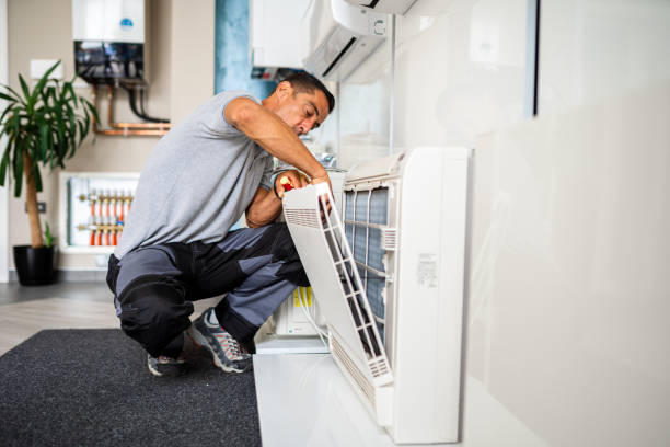 Best Professional Duct Cleaning Services  in Channel Lake, IL